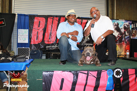 Cock Diesel Kennels, Cock Diesel Bloodline, Arizona Bully Breeder, 1 kennel in the in the world for pockets, xl, extreme, exotic bullys,  blue pitbulls, American Bully,ABKC, United States Bully Breeder